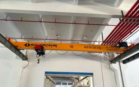 5t Single Girder Overhead Crane – Argentina Warehouse Installation Case